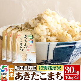 【ふるさと納税】米 秋田県認証 特別栽培米 あきたこまち（玄米）30kg 10kg×3袋 令和5年産