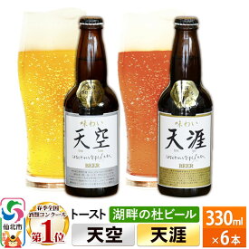 【ふるさと納税】全国酒類コンクール第1位ビールセット 2種 合計6本 地ビール クラフトビール [【ビール】【クラフトビール】]