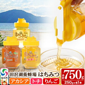 yӂ邳Ɣ[ŁzHcY݂͂iAJVAEg`ESj250g×e1{ v750g ϔ lߍ킹Zbg cΗ{I