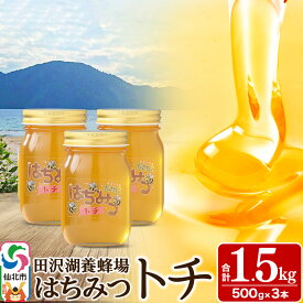 【ふるさと納税】秋田県産はちみつ トチ蜜500g×3本 合計1.5kg 化粧箱入り 田沢湖養蜂場