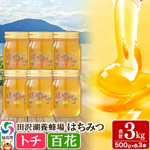 yӂ邳Ɣ[ŁzHcY݂͂ig`ESԁj500g×e3{ v3kg ϔ lߍ킹Zbg cΗ{I