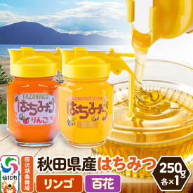 【ふるさと納税】秋田県産はちみつ（リンゴ・百花）250g×各1本 化粧箱入り 詰め合わせセット 田沢湖養蜂場