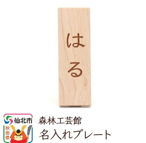 yӂ邳Ɣ[Łzv[g ؐ (2×6×s2.5cm) |p XэH|ف c  Ђ炪 At@xbg