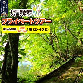 【ふるさと納税】十和田湖西湖畔ウォークガイドプライベートツアー（1組・2〜10名様まで利用可）【選べる参加期間：通常期／8月・10月】＜レターパックプラス＞ [体験チケット チケット 散歩 レジャー アウトドア 旅行 十和田湖 遊部屋十和田]