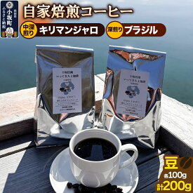 【ふるさと納税】自家焙煎コーヒー キリマンジャロ （AAキボ）／中深煎り＆ブラジル（カンジュク）／深煎り 豆100g 計200g [珈琲 珈琲豆 コーヒー 中深煎り 深煎り 自家焙煎 キリマンジャロ ブラジル カンジュク]