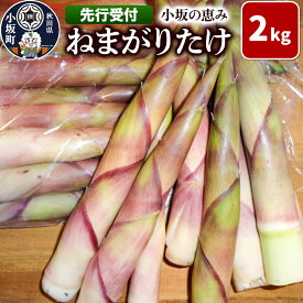 【ふるさと納税】《先行受付》小坂の恵み（ねまがりたけ）2kg [ねまがりだけ 山菜 ねまがりタケノコ アク抜き不要 秋田県 小坂町]