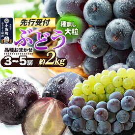 【ふるさと納税】《先行受付》小坂産 ぶどう 種無し大粒・品種おまかせ 3〜5房 セット（約2kg） [葡萄 ぶどう ブドウ フルーツ 果物 スイーツ 種無し 大粒 セット 小坂産 先行受付]