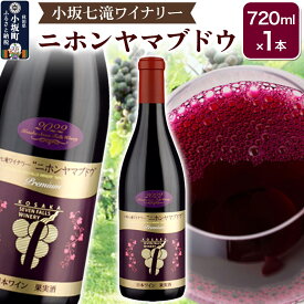 【ふるさと納税】小坂七滝ワイナリー ニホンヤマブドウ 720ml×1本