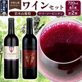 【ふるさと納税】小坂七滝ワイナリー 岩木山葡萄 ヤマ・ソービニオンセット 720ml×2本