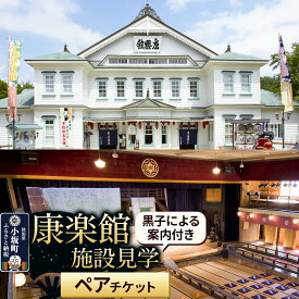 【ふるさと納税】康楽館 黒子による案内付き施設見学 ペアチケット 【レターパックプラス】