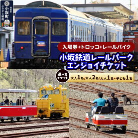 【ふるさと納税】小坂鉄道レールパークエンジョイチケット（入場券＋トロッコ＋レールバイク）【選べるチケット 大人1名／大人2名／大人1名＋子ども1名】＜レターパックプラス＞ [小坂鉄道レールパーク 体験チケット 体験施設 レールバイク トロッコ レジャー]