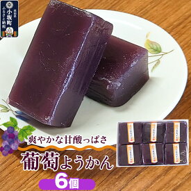 【ふるさと納税】葡萄ようかん 6個