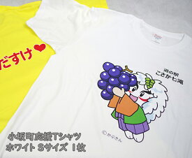 【ふるさと納税】小坂町応援Tシャツ ホワイト Sサイズ