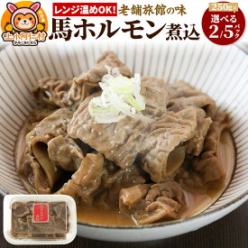 【ふるさと納税】レンジ温めOK！高橋旅館 馬ホルモン煮込 (250g小分け)【選べる容量】