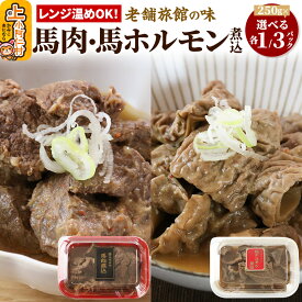 【ふるさと納税】レンジ温めOK！高橋旅館 馬肉煮込＆馬ホルモン煮込 (250g小分け)【選べる容量】