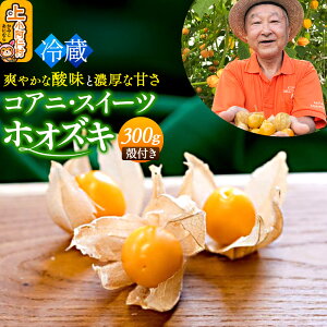 yӂ邳Ɣ[Łzs①tRAjEXC[czIYL 300gi150g×2pbNj kt Hp ق S[fx[ X[p[t[h イ낤_