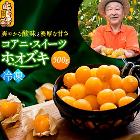 【ふるさと納税】《冷凍》コアニ・スイーツホオズキ 500g ほおずき ゴールデンベリー スーパーフード たじゅうろう農園