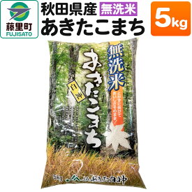 【ふるさと納税】秋田県産 あきたこまち【無洗米】5kg×1袋