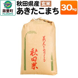 【ふるさと納税】秋田県産 あきたこまち【玄米】30kg×1袋