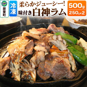 yӂ邳Ɣ[Łzr t _ v500g 250g×2 Ⓚ Hc  