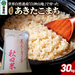 �y�ӂ邳�Ɣ[�Łz�� �ߘa7�N�Y ���������܂��y���āz30kg