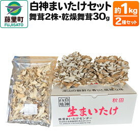 【ふるさと納税】白神まいたけセット（舞茸2株、乾燥舞茸30g）約1kg