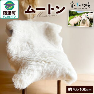 yӂ邳Ɣ[Łz{̗r̖qꃀ[g rє VRf CeA ӂӂ 炳 xr[}bg V[g O