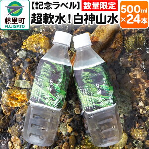 yӂ邳Ɣ[ŁzyLOxzI_R 500ml×24{