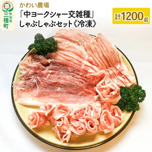 yӂ邳Ɣ[Łz킢_u[NV[GvԂԃZbg v1200g ۓ