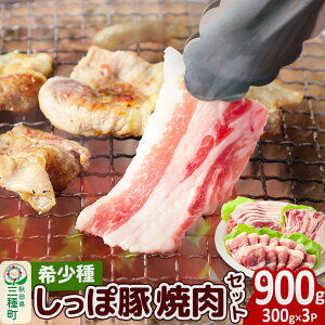 【ふるさと納税】かわい農場「中ヨークシャー交雑種」焼肉セットB(豚肉3種類、2〜3人分)合計900g しっぽ豚