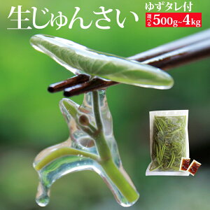 【ふるさと納税】生じゅんさい ゆずタレ付《冷蔵》【選べる内容量500g〜4kg】(2026年5月上旬頃〜7月下旬までに発送予定) 令和8年産 2026年産 先行受付 秋田県産 三種町産