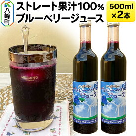 【ふるさと納税】ストレート果汁100％ブルーベリージュース 500ml×2本