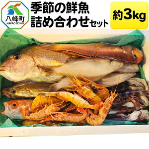 yӂ邳Ɣ[ŁzG߂̑Nlߍ킹Zbg 3kg  NxQ