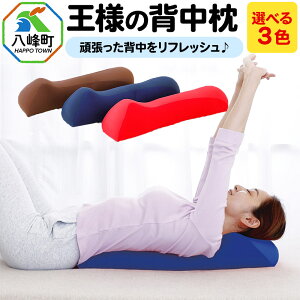 【ふるさと納税】王様の背中枕【選べるカラー】
