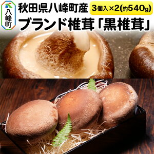 yӂ邳Ɣ[ŁzHcY uhőuőv3×2pbNi540gj