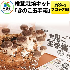 【ふるさと納税】椎茸栽培キット「きのこ玉手箱」約3kg ブロック×1個