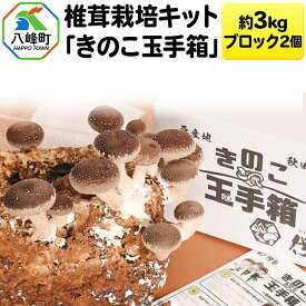 【ふるさと納税】椎茸栽培キット「きのこ玉手箱」約3kg ブロック×2個