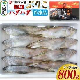 【ふるさと納税】子持ち ハタハタ ブリコ ぶりこ メス 800g（8〜9匹前後）冷凍品 はたはた 鰰 子持ちハタハタ 子持ちはたはた 鈴木水産 秋田県