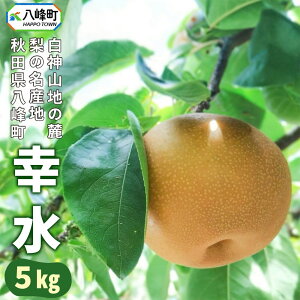 yӂ邳Ɣ[Łz K 5kg _Rn̘[ l̗ }ʎ
