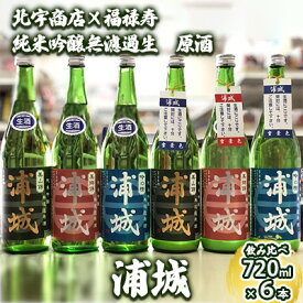 【ふるさと納税】【生酒】純米吟醸無濾過原酒「浦城」3種＆「浦城 雪景色（にごり酒）」3種　飲み比べ6本セット720ml 各1本 お酒 日本酒 香り 果実味 美味しい リピーター