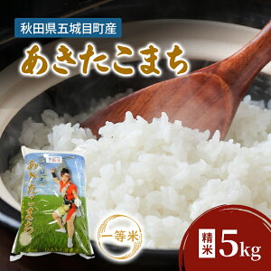 yӂ邳Ɣ[ŁzJAΓ ܏ڎY ꓙ ܂ 5kg  HcY   CX riceyzBsFEz@͂F2025N1030܂