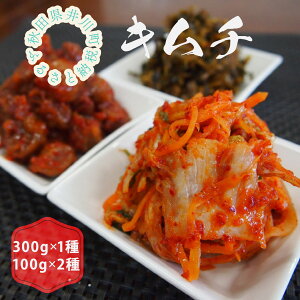 yӂ邳Ɣ[Łzyst2025N12zẽL`@300g×1ށi؁j 100g×2ށi~A؁j