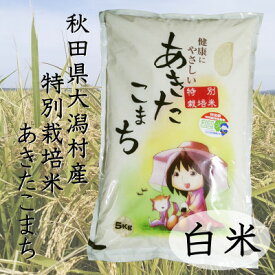 【ふるさと納税】令和7年産　特別栽培米あきたこまち　白米5kg_ あきたこまち 秋田県 米 白米 特別栽培 美味しい ご飯 人気 おすすめ 送料無料 【配送不可地域：離島・沖縄県】【1283151】