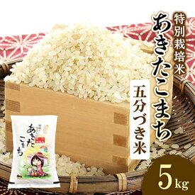 【ふるさと納税】令和7年産　特別栽培米あきたこまち　五分づき米5kg_ あきたこまち 秋田県 米 五分づき 特別栽培 美味しい ご飯 人気 おすすめ 送料無料 【配送不可地域：離島・沖縄県】【1283153】