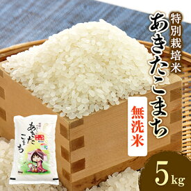 【ふるさと納税】令和7年産　特別栽培米あきたこまち　無洗米5kg_ あきたこまち 秋田県 米 無洗米 特別栽培 美味しい ご飯 人気 おすすめ 送料無料 【配送不可地域：離島・沖縄県】【1283154】