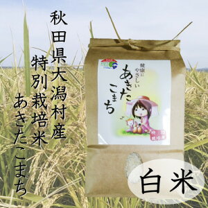 yӂ邳Ɣ[ŁzVā@ߘa7NY@ʍ͔|Ă܂@2kgyzsnFEꌧzy1283155z