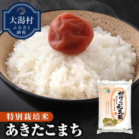 【ふるさと納税】【無洗米】大潟村産あきたこまち特別栽培米10kg 【令和7年産】【配送不可地域：離島・沖縄県】【1419732】
