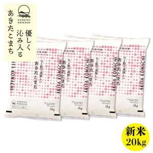 yӂ邳Ɣ[ŁzHcY \tJn!܂yߘa7NYz20kg(5kg×4)s10{蔭tyzsnFEꌧzy1519359z