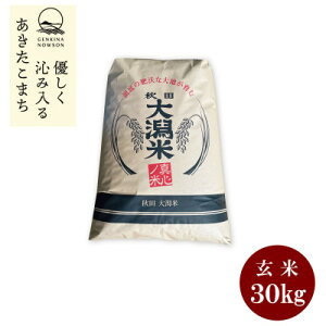 yӂ邳Ɣ[Łz\tJn!HcY@܂30kg@1@āyߘa7NYzs11{蔭tyzsnFEꌧzy1519384z