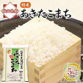 【ふるさと納税】あきたこまち精米5kg【配送不可地域：離島・沖縄県】【1595355】